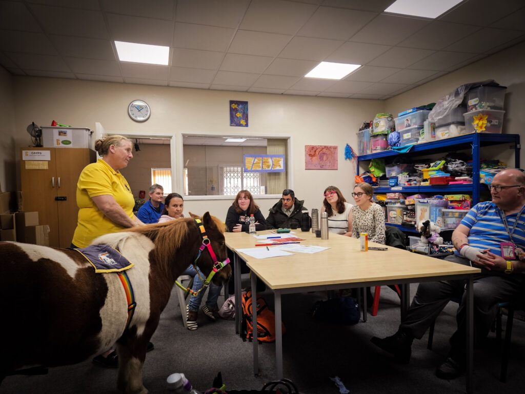 Clients with learning disabilities engages in workshop with ponies in Sheffield