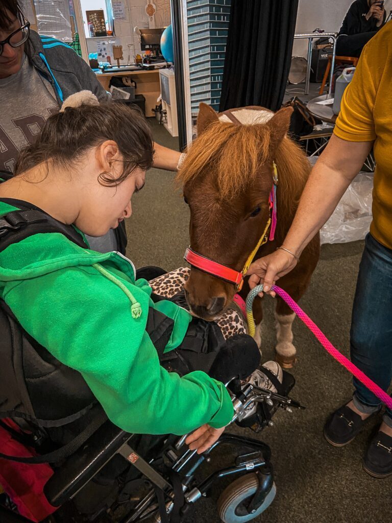 Disabled client strokes a pony, animal therapy.