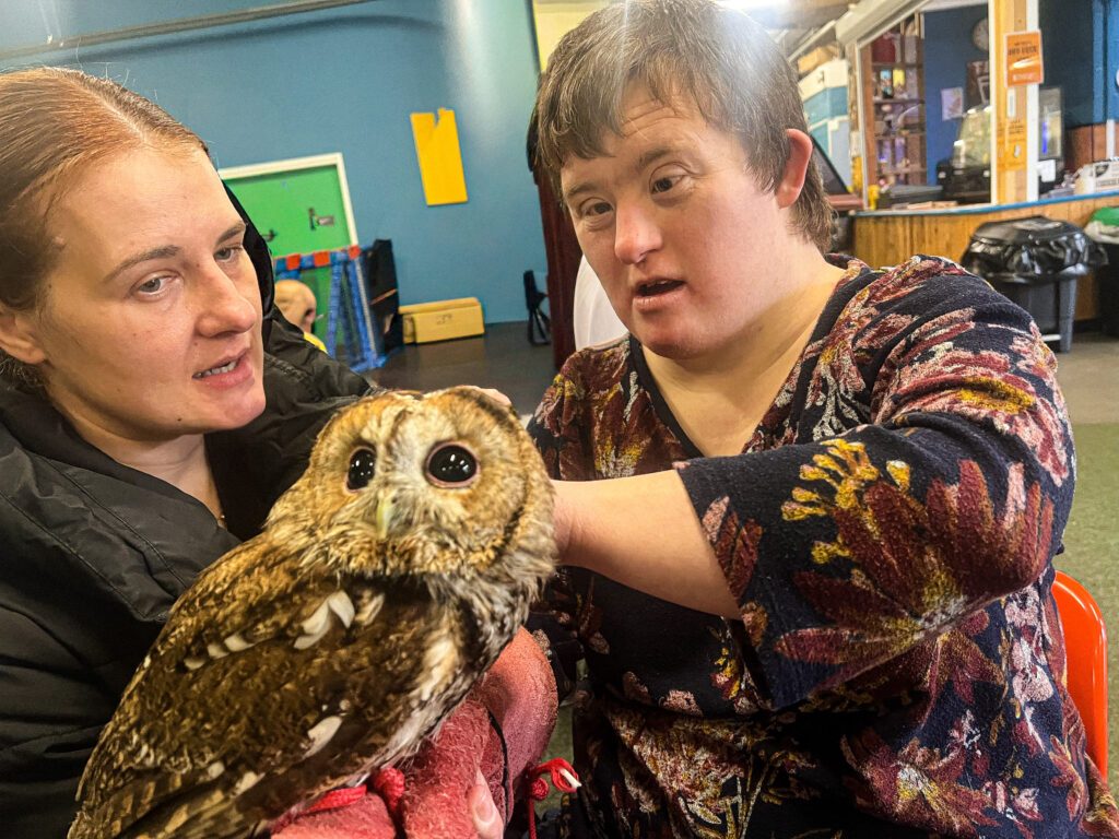 Disabled client in Sheffield petting an owl as part of education session